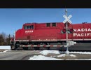 IA州ワシントン、N F AveでのCP 8009 3/25/23 | CP 8009 at N F Ave, Washington, IA 3/25/23