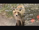 【豚王】北海道旅行！日本の最北端　宗谷岬にいきます！２。2023年4月12日