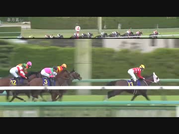 【また怪物が現る】異次元の末脚　第83回皐月賞GⅠ