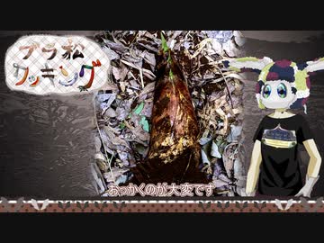 【ブラ松クッキング】たけのこ【30秒】