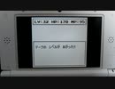 ネコジャラ物語(3DSバーチャルコンソール版)レベル32バグ再現成功