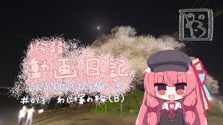 【1分弱動画日記】韮崎・わに塚の桜B【#013】