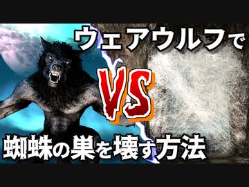 【Skyrim】ウェアウルフで蜘蛛の巣を壊す方法【ボイスロイド解説】