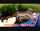 琴葉姉妹と行く釣行記録（暇潰し編part27）