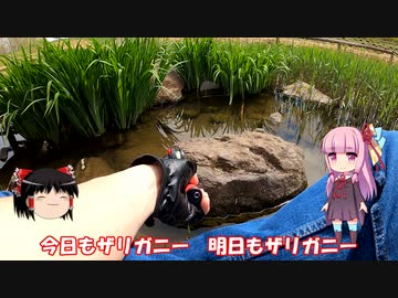 琴葉姉妹と行く釣行記録（暇潰し編part27）