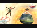 【ゼルダの伝説 スカイウォードソードHD】始まりの姿でクリアする～はじまりの物語～part23【縛り実況】