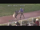 株式会社高知広告センター協賛 第39回二十四万石賞 パドック～本馬場入場