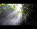 鳥の歌reprise〈Bird song reprise〉（feat.Vocaloid5 Kaori）／ライカドッグ・インフィニティ〈Laikadog Infinity〉