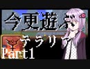 【Terraria】今更遊ぶテラリア Calamity mod [Part.1]