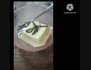 卵豆腐にいそ松葉あうよ寝坊した目覚ましならなかった卵豆腐違ったタイマー誤作動