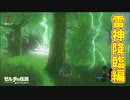 雷を降らせて敵を倒したかった【ゼルダの伝説 ブレス オブ ザ ワイルド】#8