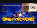 クマとクマとトカゲ【MHSB百狩行脚2023】【モンスターハンターライズサンブレイク】