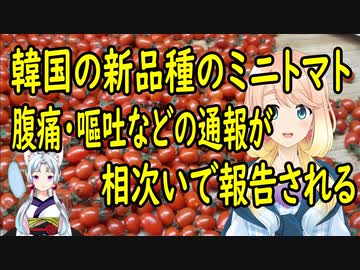 今年初めて出荷された韓国のミニトマト品種を食べた結果、腹痛や嘔吐などの食中毒症状が相次いで報告され全量廃棄に！【世界の〇〇にゅーす】