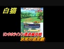 白猫　 リンクホライゾン遭遇編攻略　決死の逃走劇　ガチャキャラ　クロカ（斧）イクシア（杖）シロー（双剣）　９周年イベントEP１　＃１３　【白猫プロジェクト】