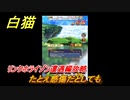 白猫　 リンクホライゾン遭遇編攻略　たとえ感傷だとしても　ガチャキャラ　クロカ（斧）イクシア（杖）シロー（双剣）　９周年イベントEP１　＃１７　【白猫プロジェクト】