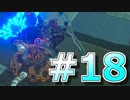 新作発売までに完走を目指すブレワイ実況！part18【ゼルダの伝説 BotW 実況】