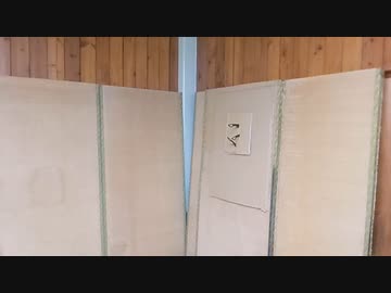 ナイフを投げる動画