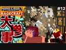 【マインクラフト】地下図書室大爆破 RAGECRAFT3 で勇者見習い生活 #12【実況】