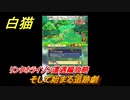 白猫　 リンクホライゾン遭遇編攻略　そして始まる追跡劇　ガチャキャラ　クロカ（斧）イクシア（杖）シロー（双剣）　９周年イベントEP１　＃２５　【白猫プロジェクト】