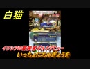 白猫　 イクシアの冒険家ギルドデビュー　いっちょにちゅぎょうを　ガチャキャラ　クロカ（斧）イクシア（杖）シロー（双剣）　９周年イベントEP１　＃２９　【白猫プロジェクト】