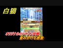 白猫　 オリジナルホライゾン攻略　畳みかける悪意　６周年イベント振り返り　＃１１３　【白猫プロジェクト】