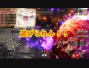 爆撃機を撃墜せよ！！【MHSB百狩行脚2023】【モンスターハンターライズサンブレイク】