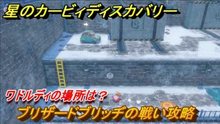 星のカービィディスカバリー 　ブリザードブリッヂの戦い攻略　ワドルディの場所は？　＃４３　【カービィディスカバ】