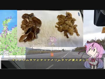 珍食材お買い物旅！#26　富山・新潟編