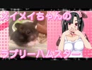 メイメイのハムスターの日常。23