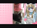 ゾンビーナのハムスターの日常。52