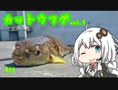 船に乗って瀬戸内海へ ＃カットウ釣り vol.3 【VOICEROIDフィッシング】