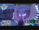 【実況】part75 ポケモンソードのんびり初見実況プレイ【ポケモン剣盾】