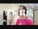 【ボカロ歌ってみた動画】ピノキオピー - 転生林檎 feat. 初音ミク / Reincarnation Apple Covered by 奥大輔