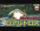 水獣！モフモフが素晴らしい上位のロアルドロスを太刀＆マルチで狩猟してきます【モンハンライズ サンブレイク】