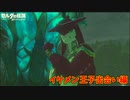 なんとなく憎めないイケメン王子襲来【ゼルダの伝説 ブレス オブ ザ ワイルド】#10