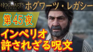 【時間の闇の中（後編）】ホグワーツ・レガシー こつこつ実況 第45夜