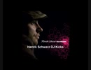 Henrik Schwarz /DJ Kicks