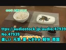 とろろそばのテーマ