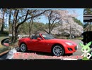 ゆっくり車載（猫）　Part5　オープンカーでお花見ドライブ！