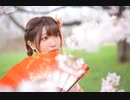 【咲倉ゆり】千本桜  踊ってみた【満開】