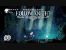 ぼくが何をしようとしているのか教えて【Hollow Knight】#9
