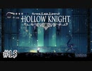 挑戦はしたくないです【Hollow Knight】#15