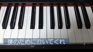 【歌ってみた】僕のために泣いてくれ