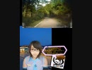 車載動画観て思い込み実況