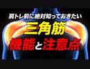 【筋トレ】肩の三角筋の機能とレーニングの3つ注意点 | ボディビルチャンピオンが解説【ビーレジェンド プロテイン】