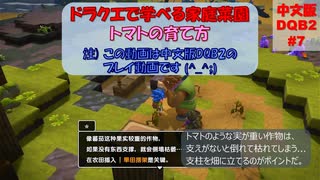 #7【中国語の素人が未プレイで中文版DQB2に挑戦】モンゾーラ島　その4