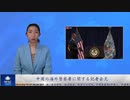 中国の海外警察署に関する記者会見