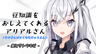 豆知識をおしえてくれるアリアルさん(374)【coefont劇場】