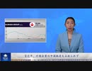 習近平主席、外国企業の中国撤退を止められず