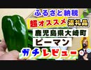 【ふるさと納税】鹿児島県大崎町『生でも食べられるピーマン』を実際にレビュー！
